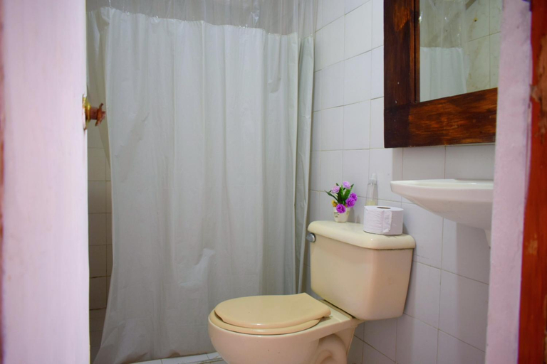 Bathroom 3, THE MANGO TREE HOSTEL 4:20, Cartagena de Indias