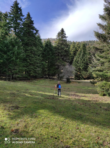 Others 5, 180 mountain lodge, Epirus