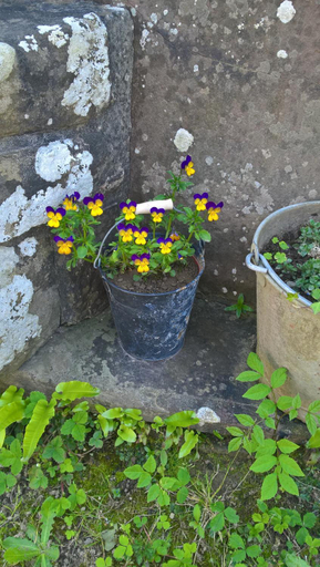 Others 4, Gites Nature & Espace - Le puits des souhaits, Manche