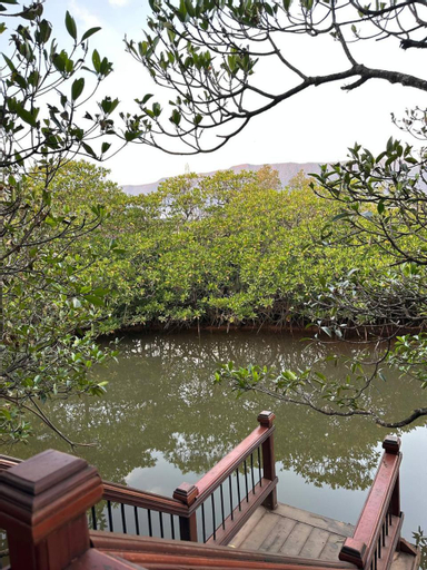 Scenery 4