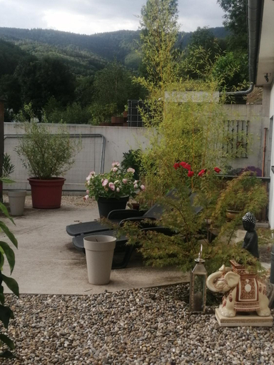 Others 3, l'ecrin des biches, Haut-Rhin