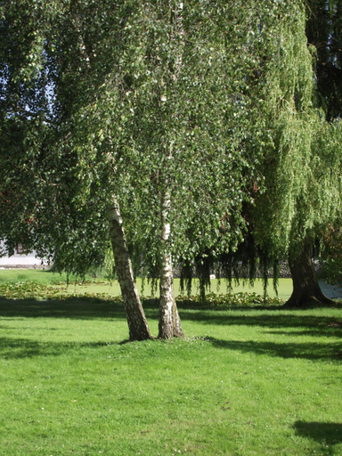 Others 3, Les Portes des Froises, Somme