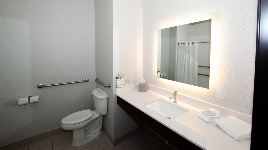 Bathroom 4, Holiday Inn Express & Suites CHICAGO SOUTH LANSING by IHG, Cook