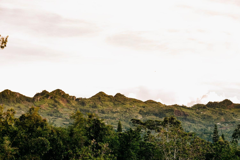 Others 4, 150 Peakway Mountain Resort, Dalaguete