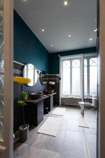 Bathroom 1, Le Passagran, Loire