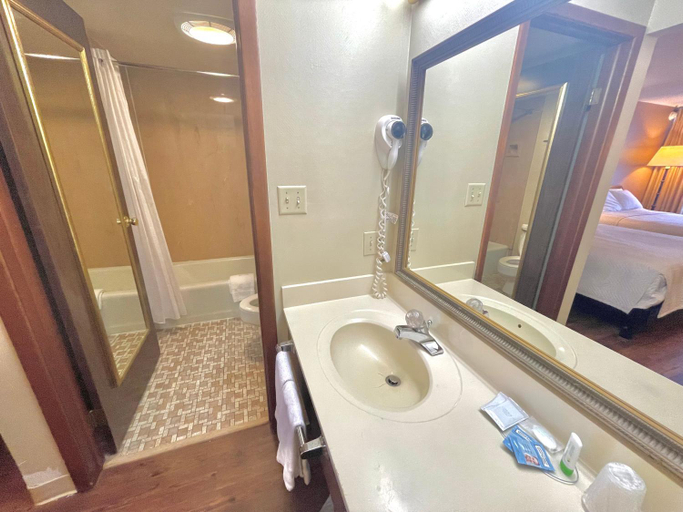 Bathroom 5, Eureka Springs Heritage Motel, Carroll