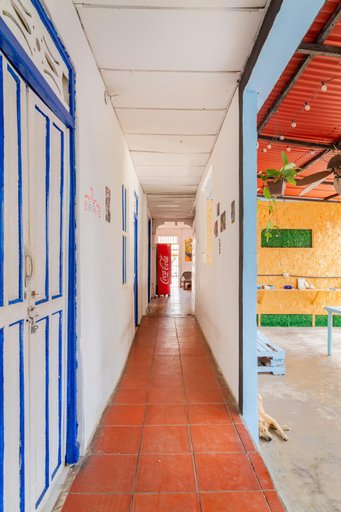 Others 5, THE MANGO TREE HOSTEL 4:20, Cartagena de Indias