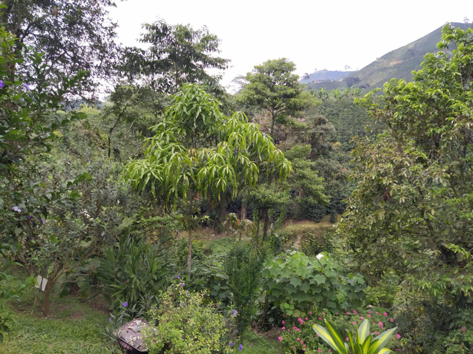 Others 2, Hacienda Guayabal, Villamaría