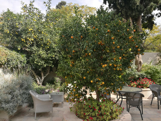 Others 3, The Templer Inn, Jerusalem
