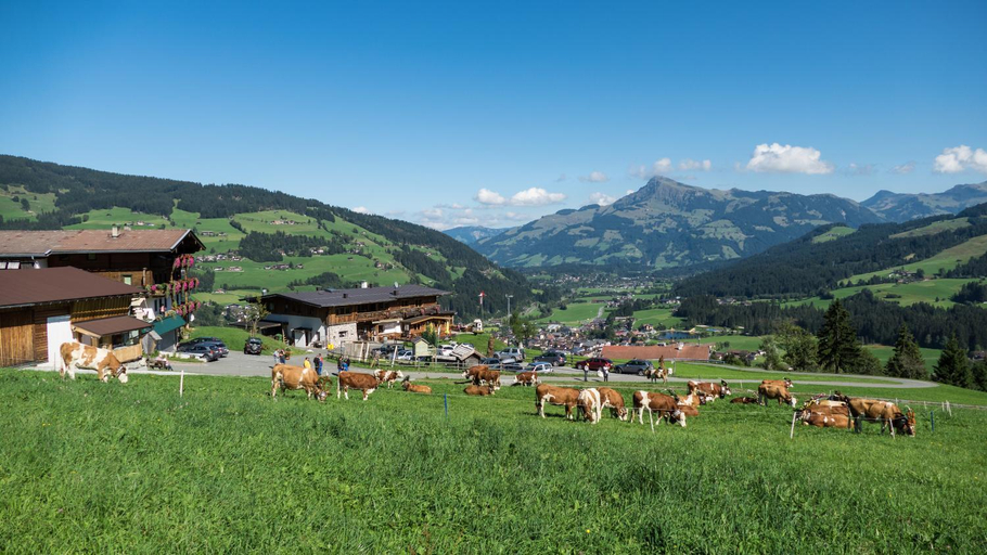 Others 3, Gasthaus Obergaisberg, Kitzbühel