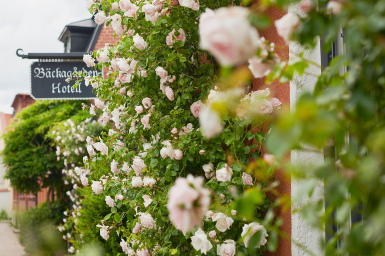 Others 4, Hotell Backagarden, Ystad