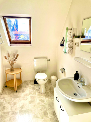 Bathroom 4, Niemeyers Landgasthof und Pension, Schleswig-Flensburg