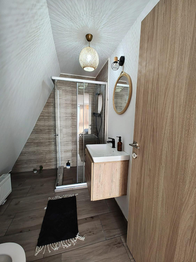 Bathroom, Anasta Guesthouse, Balcesti