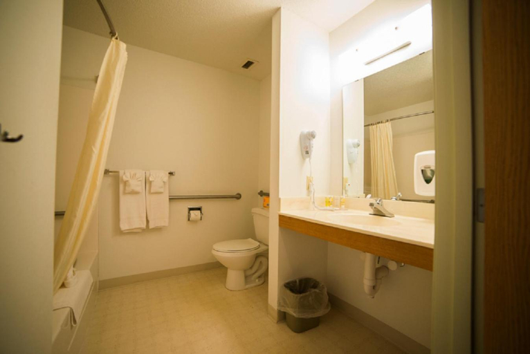 Bathroom 3, River Valley Inn & Suites, Polk