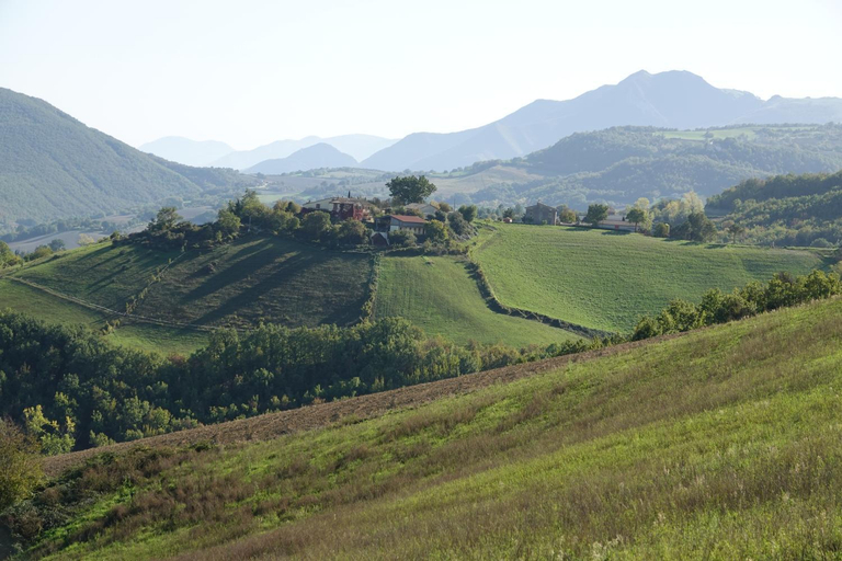 View 5, Agriturismo Colle del Lupo, Pesaro E Urbino