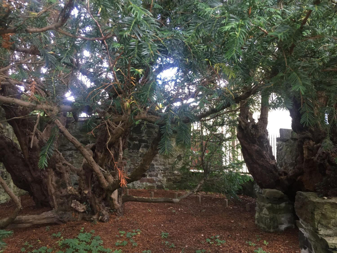 Others 5, Cosy & compact Rowan Lodge no4, Stirling
