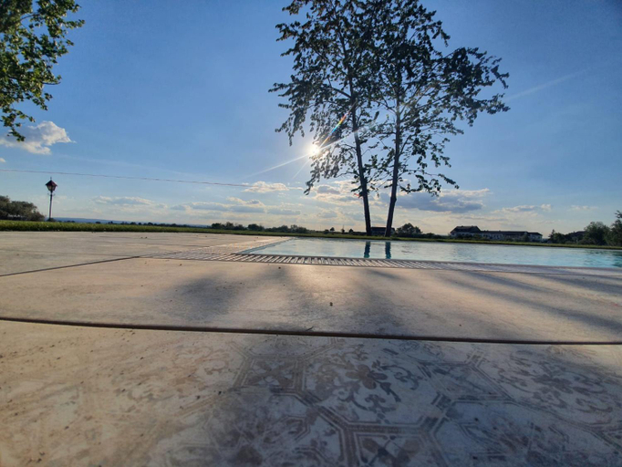 Food & Drinks, Zimmerei - Landgasthaus Karlo, Neusiedl am See