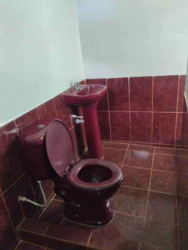 Bathroom 3, Amazon Nativo Lodge, Maynas