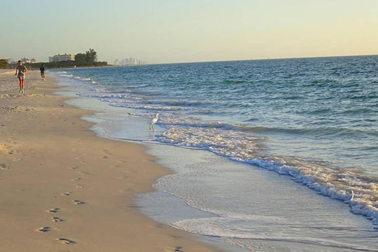 Others 3, San Carlos Paradise!, Lee