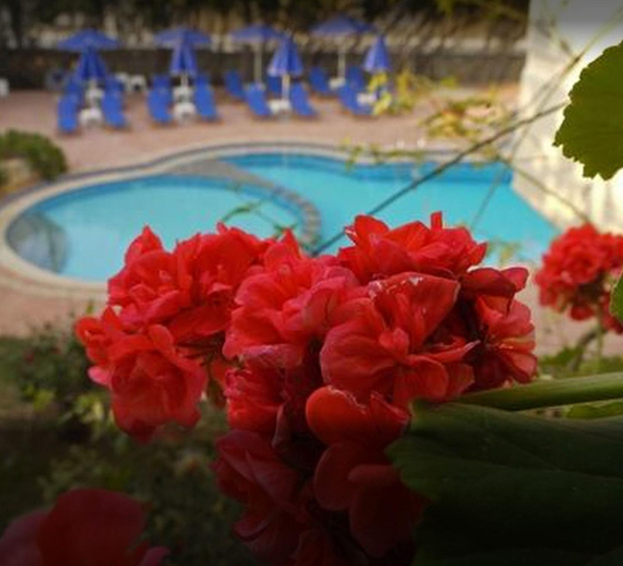 Others 3, Lili Apartments,oasis 2,5 km from Hania center, Crete