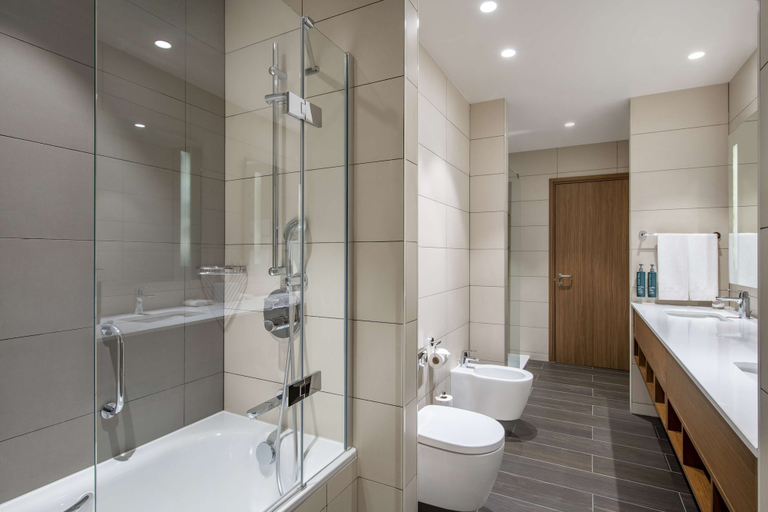 Bathroom 5, Hilton Garden Inn Tbilisi Chavchavadze, Tbilisi