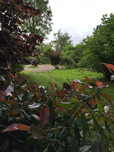Scenery 2