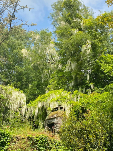 Scenery 16