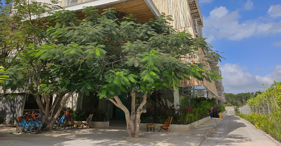 Exterior & Views 2, Siente Tulum Hotel & Cenote Club, Cozumel