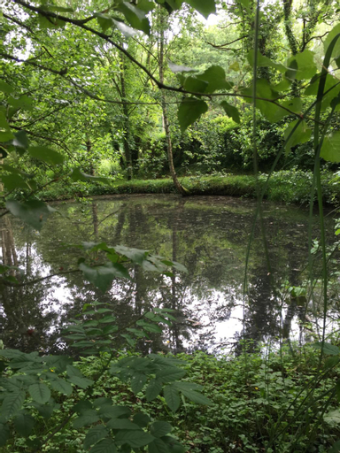 Scenery 15