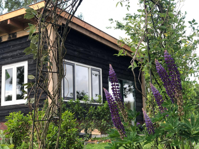 Others 2, Bed & Breakfast Bij de Wilg, Lochem