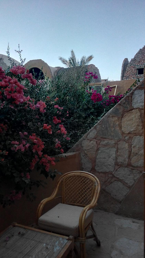 Others 3, Eskaleh Eco-Lodge, Unorganized in Aswan