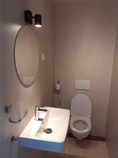 Bathroom 2, bed and breakfast trouwborst, Buren