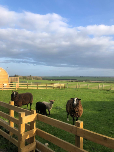Others 2, Caithness View Luxury Farm Lodges and BBQ Huts, Highland