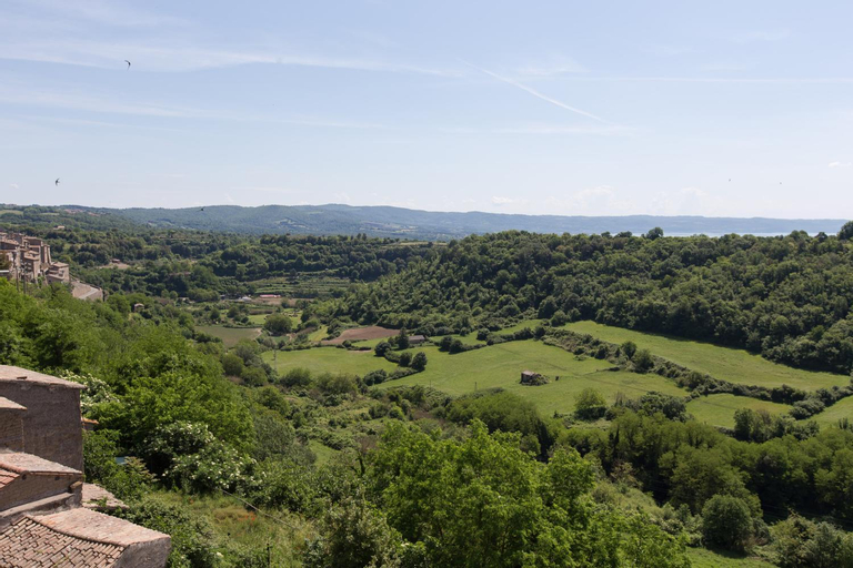 108 b&b, Viterbo