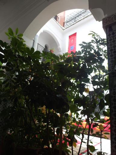 Public Area 2, Riad Sijane, Marrakech