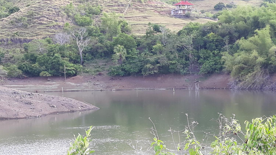 Surrounding environment