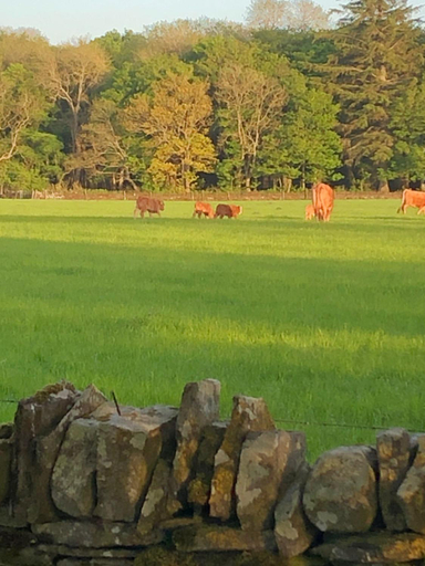 Others 4, Caithness View Luxury Farm Lodges and BBQ Huts, Highland