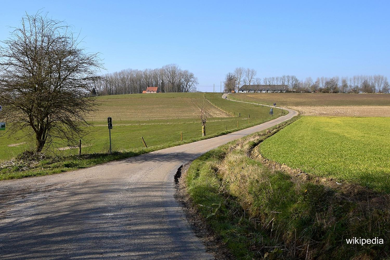 Others 2, "Ter Ename n°2", Oost-Vlaanderen