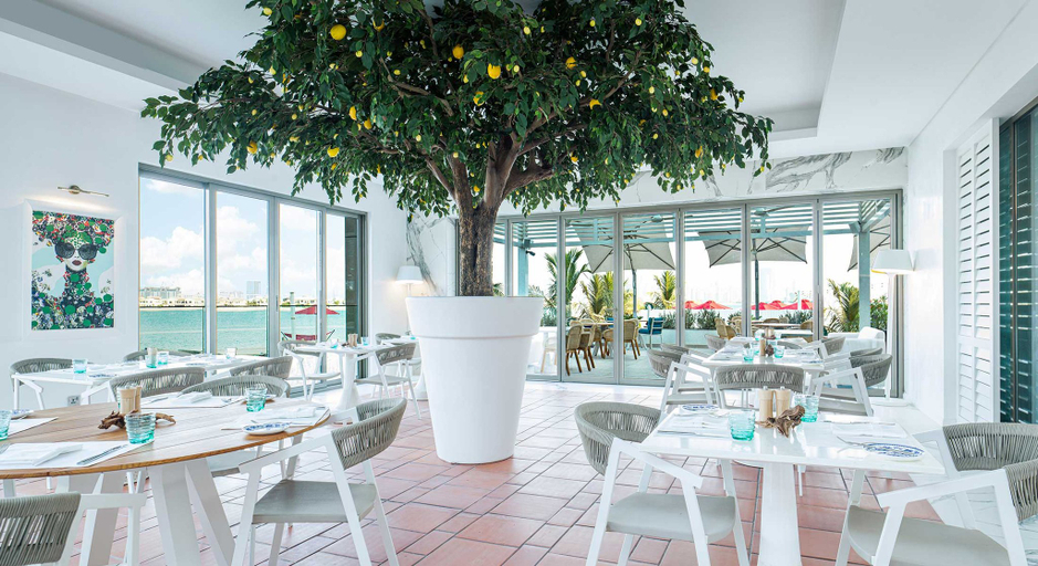 Food & Drinks 4, Vignette Collection TH8 PALM DUBAI BEACH RESORT, Dubai
