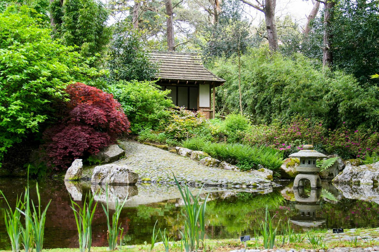 Others 5, Pinetum Garden Retreats, Cornwall