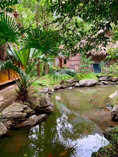 Others 5, Hang Lan Bungalow, Hoa Lư