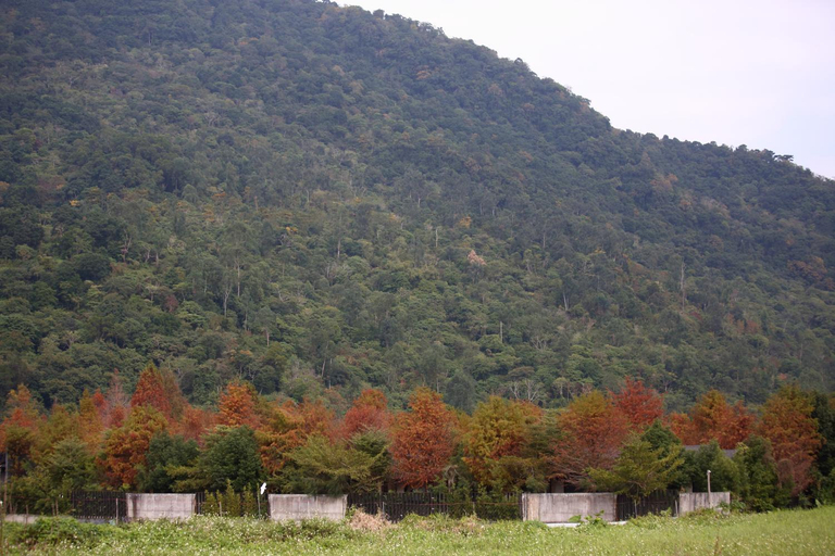 Others 4, Ardennes Villa, Hualien