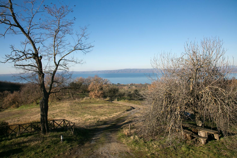 Others 3, Meridiano 12, Viterbo