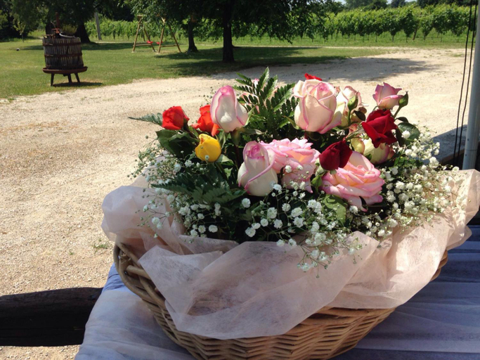 Others 5, Agriturismo Le Giarine, Gorizia