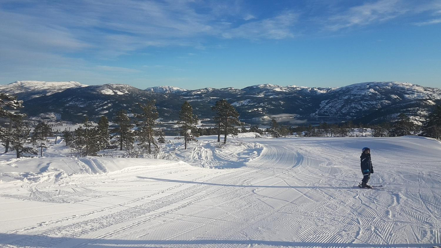 Others 4, Vradal Panorama - Tiurasvegen 39, Kviteseid