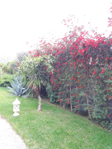 Others 5, Alcantara Resort, Charming & Relaxing Hotel , Adults Only 16 plus, Messina