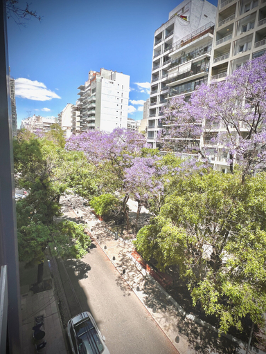 Others 5, Apartments Bariloche - Palermo Viejo, Cerviño, Distrito Federal