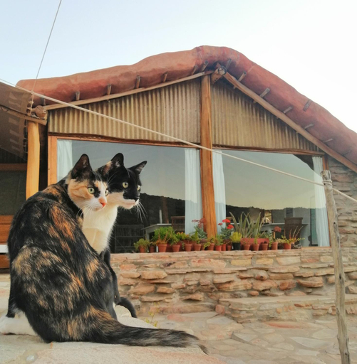Others 4, Oudrif Farm, West Coast