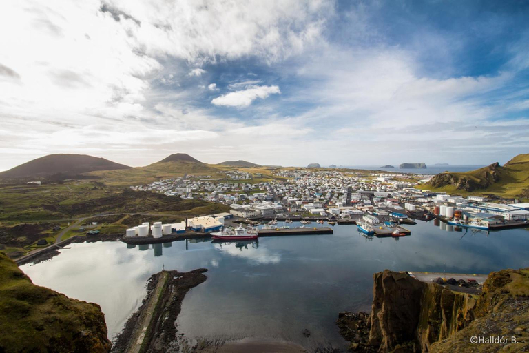 Others 4, Ofanleiti Cottages, Vestmannaeyjar