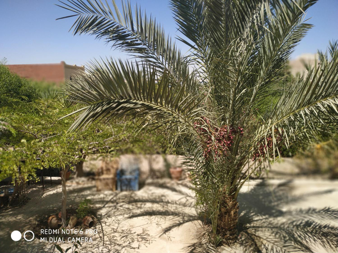Others 3, villa tunis village, Yusuf as-Sidiq